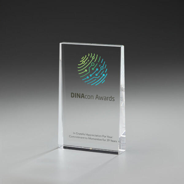 Plain Award 79071, Crystal Awards, 205mm inklusive Gravur 