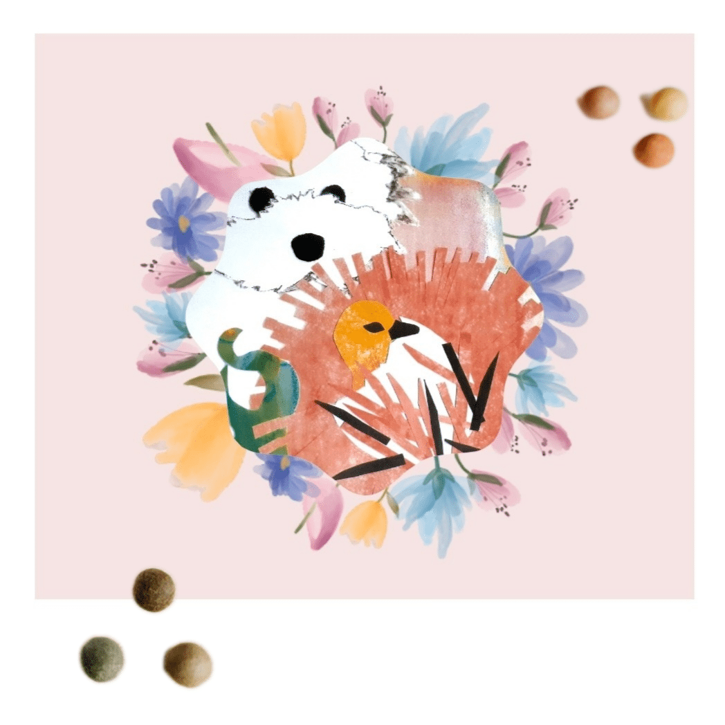 Flower Bombs Gift Box: Egg of Life