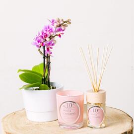 Flowers Candles Home Fragrance Accessories Flower of Life