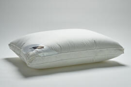 Pillows FiisschenConcept