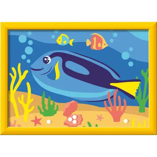Doktorfisch