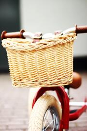 Paniers de vélo Trybike