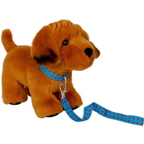 Chiot Joey avec une laisse