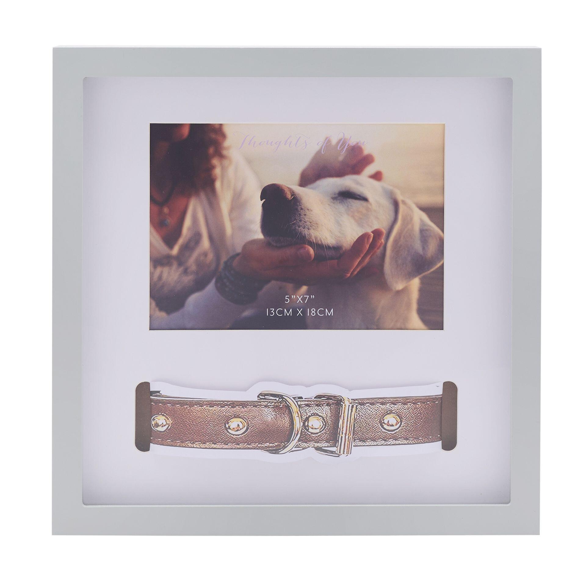 Erinnerungsrahmen für Haustierhalsband | Gedenkrahmen für Hunde- oder Katzenhalsband | Thoughts of You