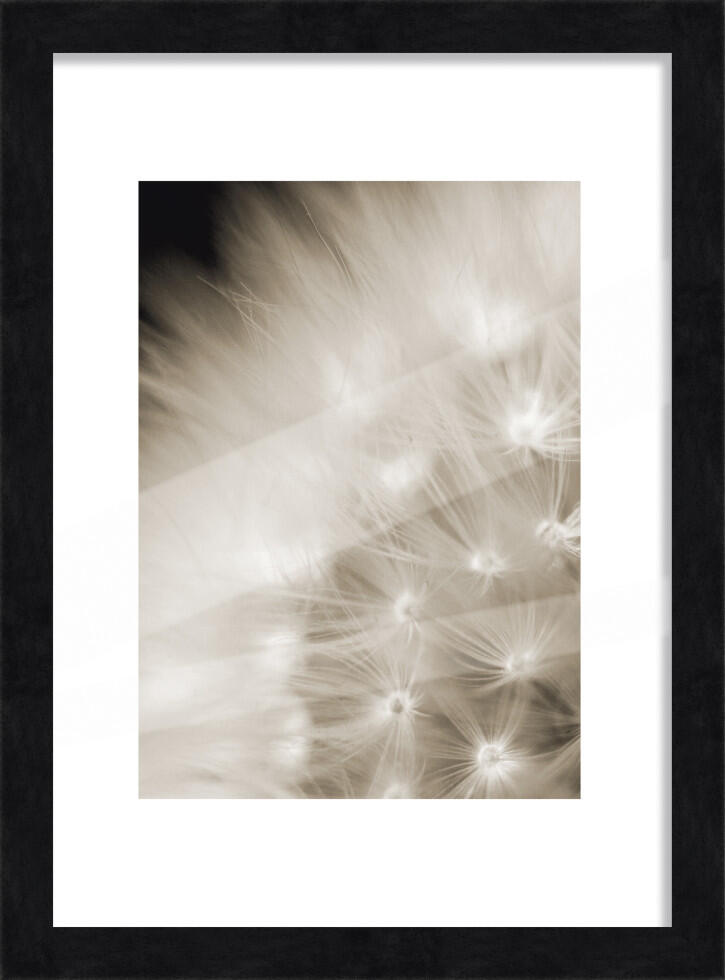 Wooden picture frame Luzern black 21 x 29.7 cm