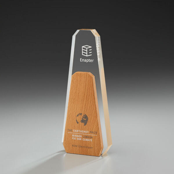 Aspen Award 59904, 250x100mm including engraving and/or digital printing 