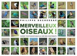 Decressac Philippe: Merveilleux oiseaux !