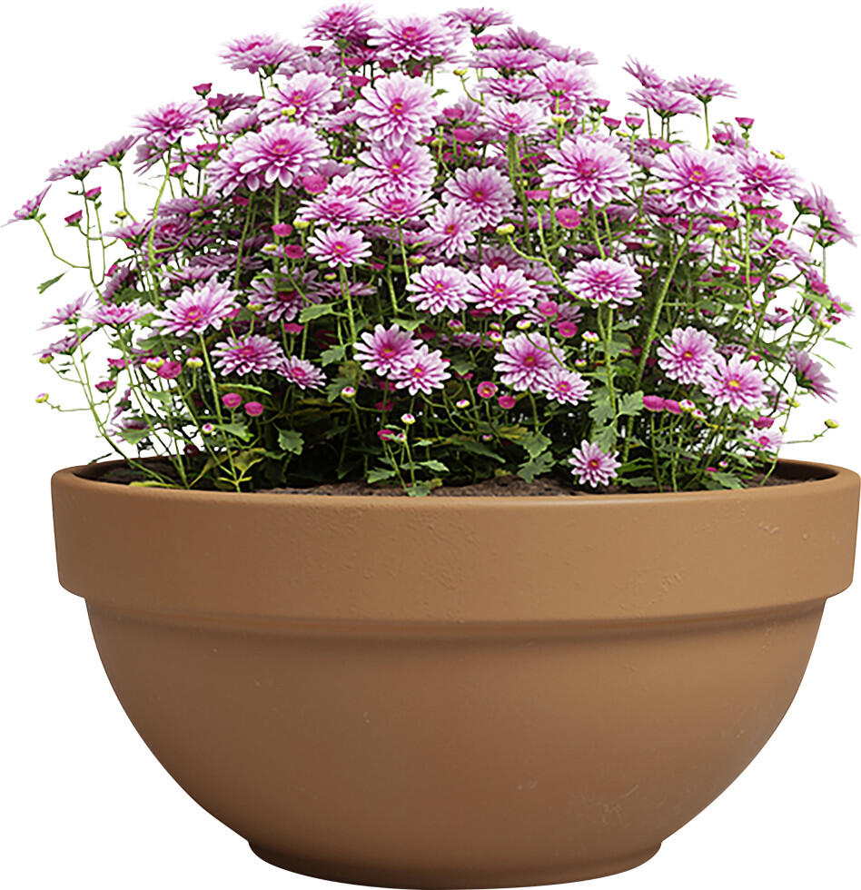 Artevasi Amália Campana terracotta red planter Ø 35 x 16 cm