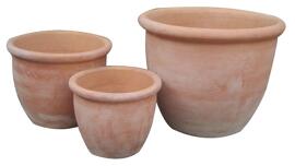 Pots & Planters TrendLine