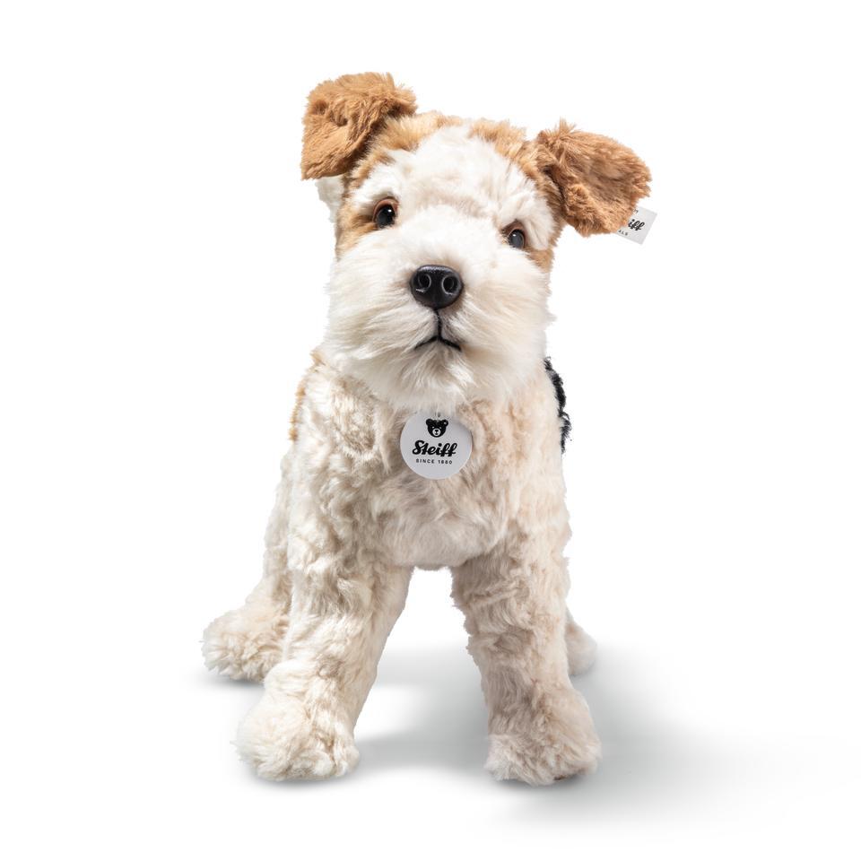 Fox-terrier