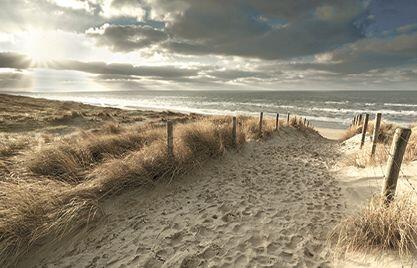 Deco-Canvas Bild - dune landscape 140 x 90 cm