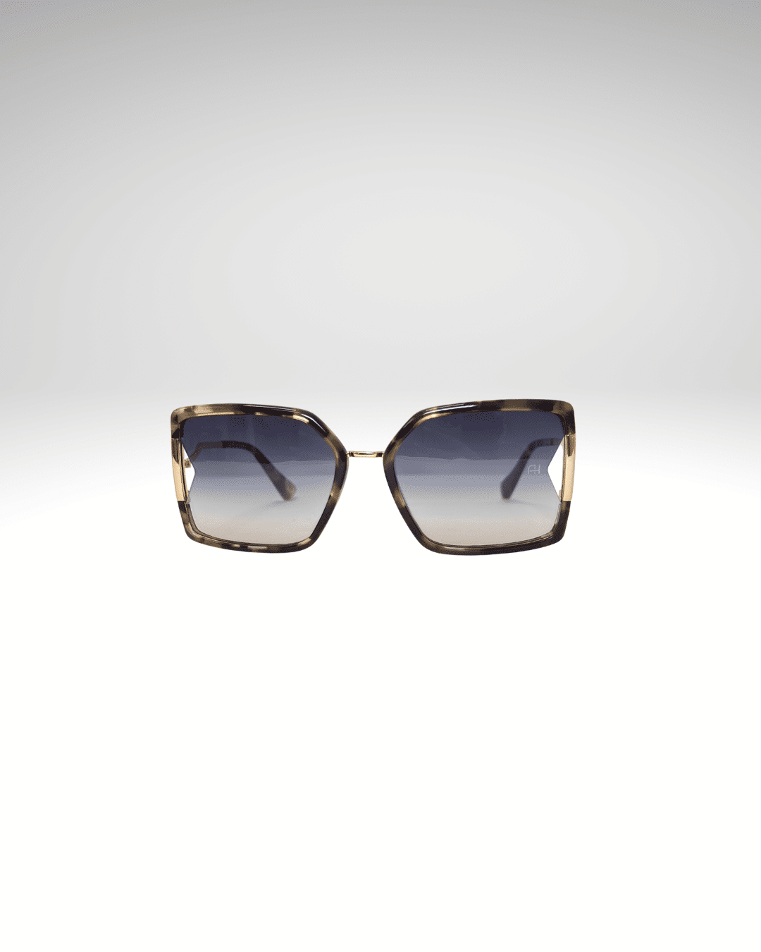 Lunettes de soleil élégantes Ana Hickmann 