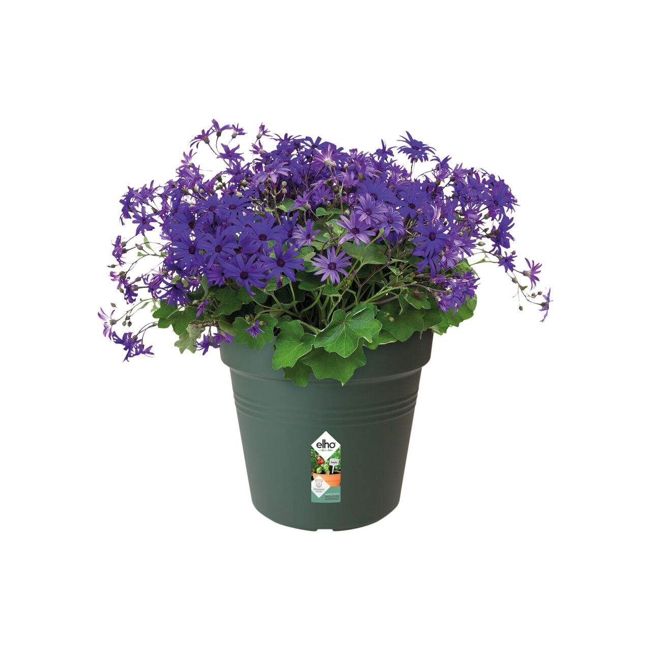 blumenkasten zum hängen holz Blumenkasten 🌿 Riga groß