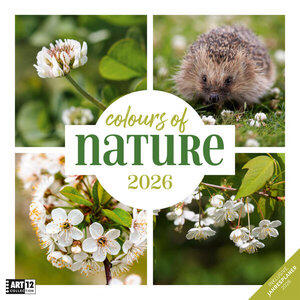 Colours of Nature Kalender 2026 Dimensions (L/H) : 30 × 30 cm, calendrier brochure, DE/EN/FR/IT