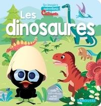 6-10 Jahre Bücher Éditions Larousse Paris