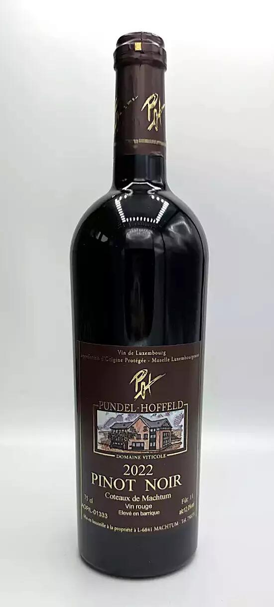 Pinot Noir 2022 AOP rouge