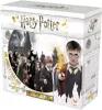 Harry Potter Board Game - A Year at Hogwarts