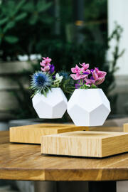 Indoor & Outdoor Plants Decorative Jars FLYTE