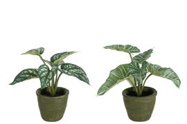 Artificial Flora Plants J-Line