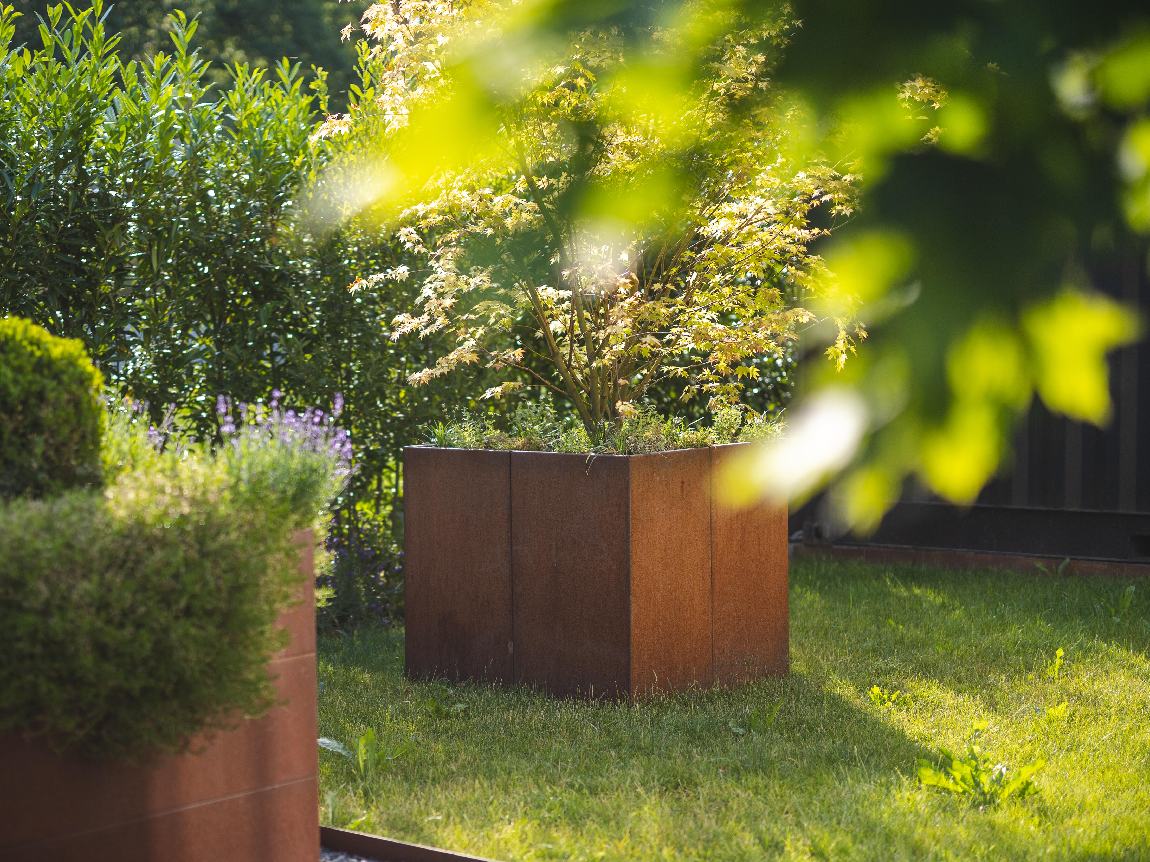 Potager en acier corten modulable