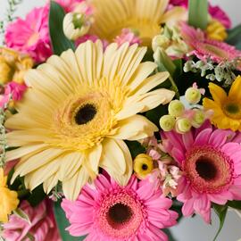 Blumen Frische Schnittblumen Dekoration Schenken Flower of Life