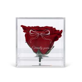 Dried Flowers Flowers Gift Giving Surprise