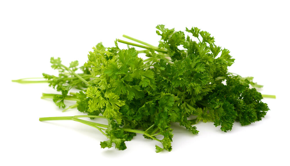 Herbs parsley Kraus