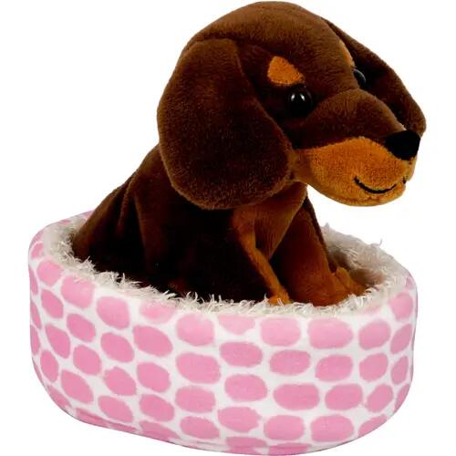 Teckel Watson dans le panier