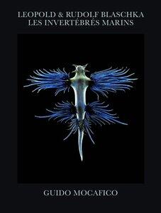 Mocafico Guido: Blaschka - les invertebres marins