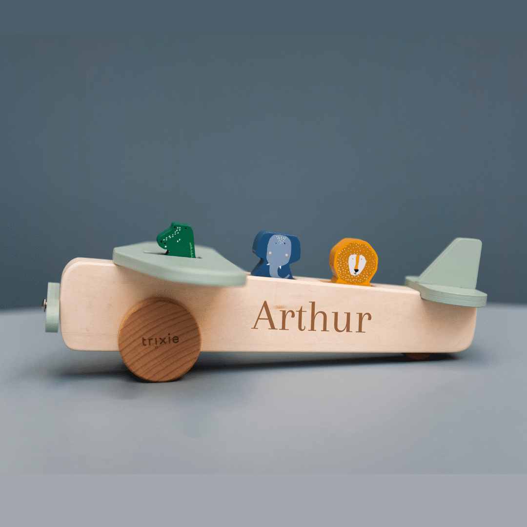 Personalized airplane with wooden animals