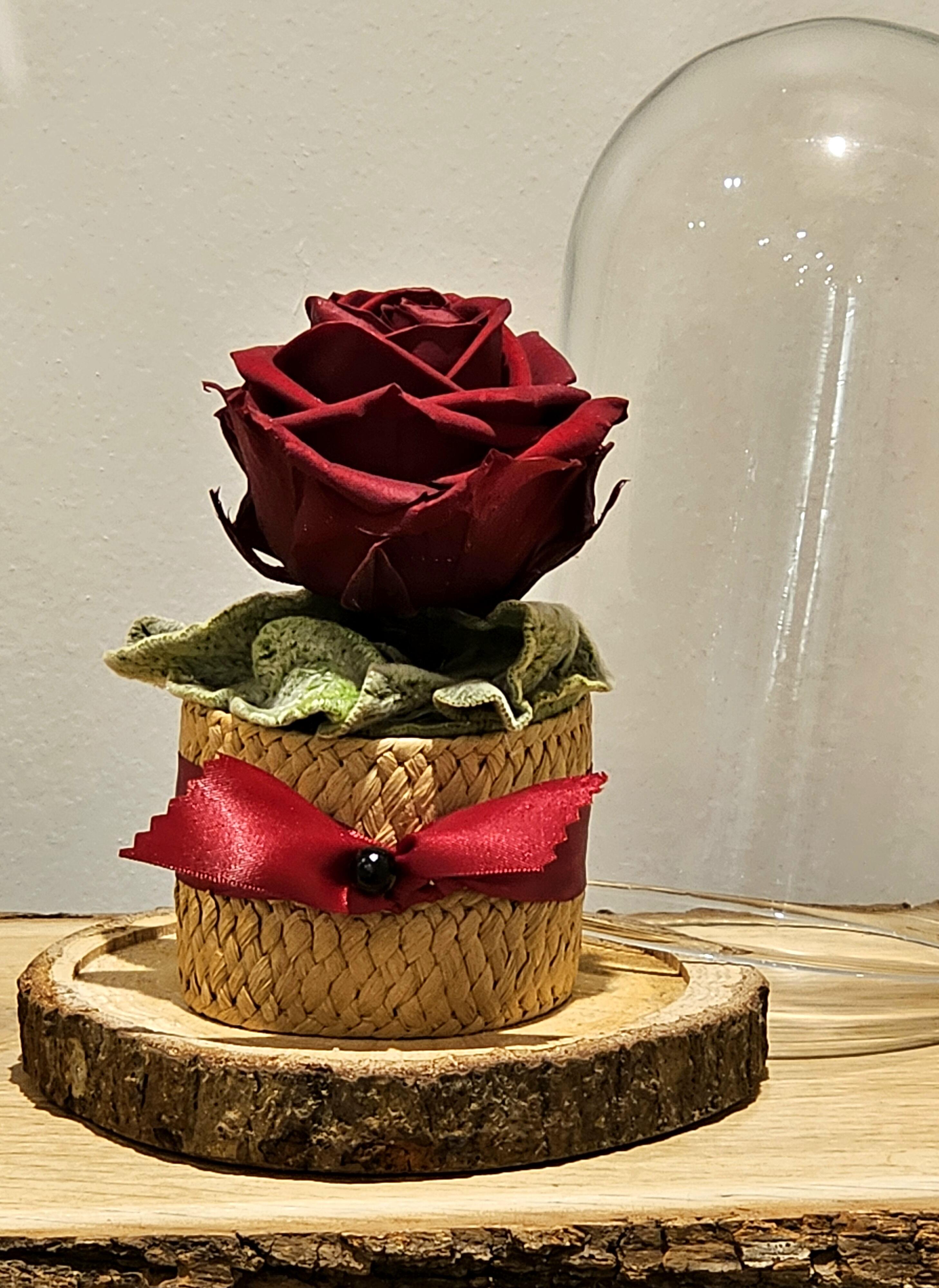 Blumen: Infinity Rose XXL - Glashaube