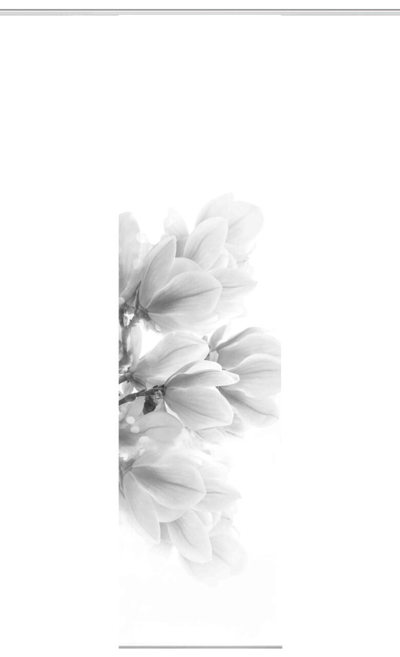 Home Wohnideen Schiebegardine Kessi 245 x 60 cm grau