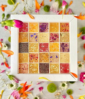 Coffret 9 pâtes de fleurs