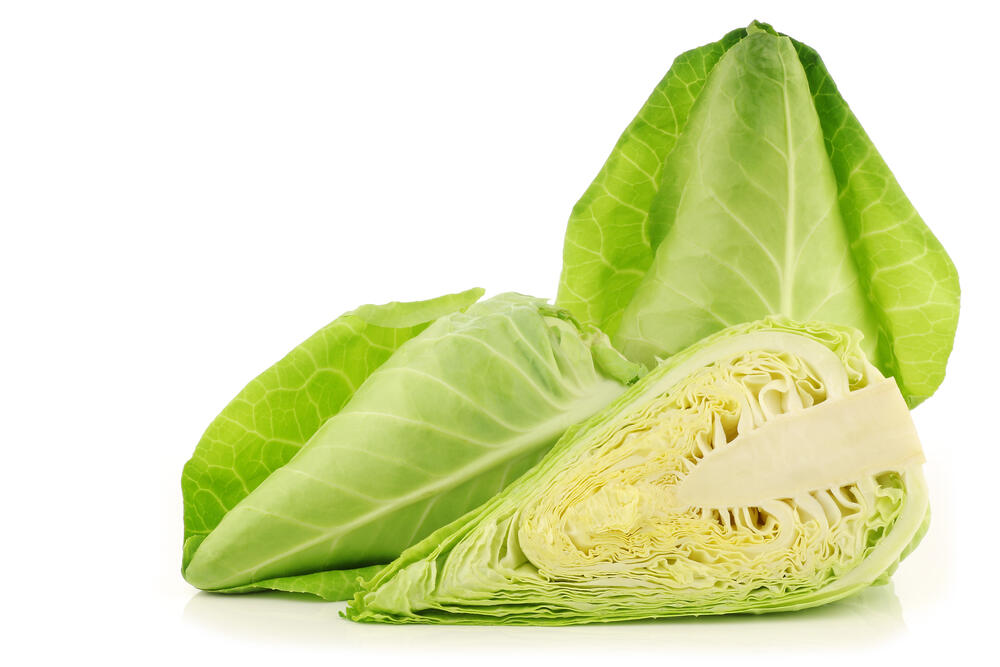 Vegetables pointed cabbage