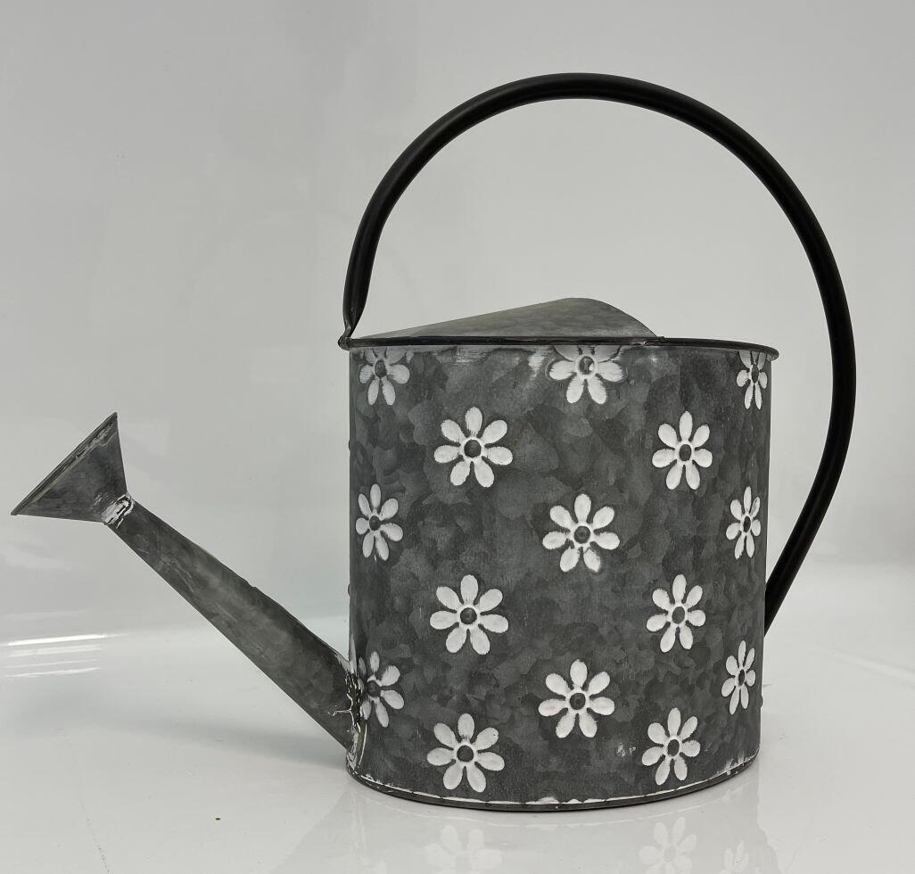 Decorative zinc-gray watering can