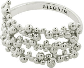 Jewelry Pilgrim