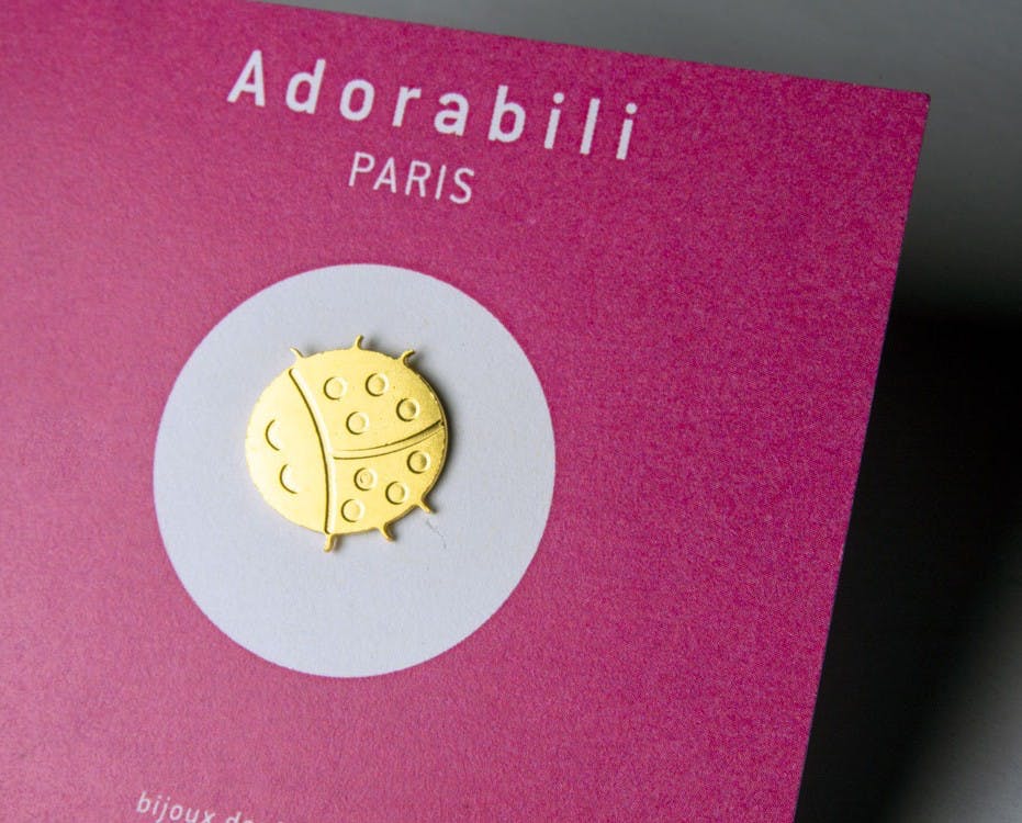 Coccinelle pin