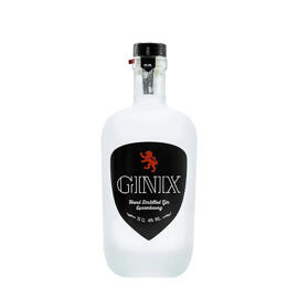 Gin Ginix
