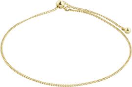 Jewelry Pilgrim