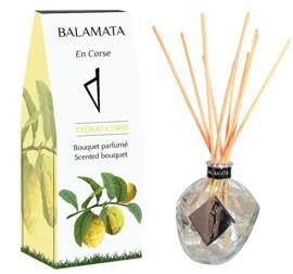 Fragrance Oil BALAMATA
