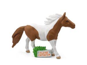 X 11000844: KLE!NE EXPERTEN - ... galoppieren mit Pferden [DE]
