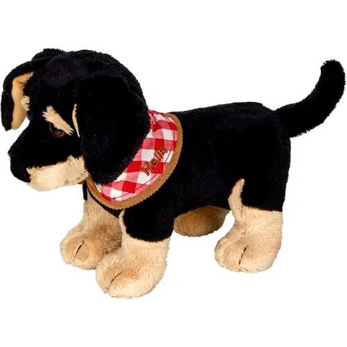 Dackel Hella - Parade d'animaux amusants