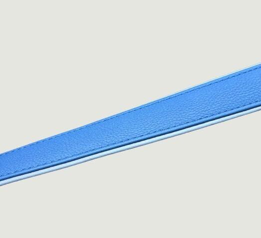 Blaues Lederhalsband, Unterseite grau