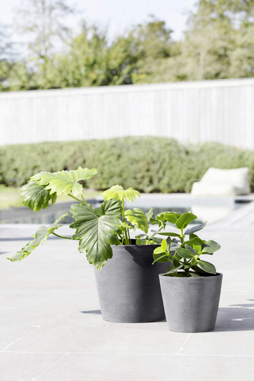 Ecopots Pflanztopf Amsterdam  30 x 26 cm grau | Letzshop