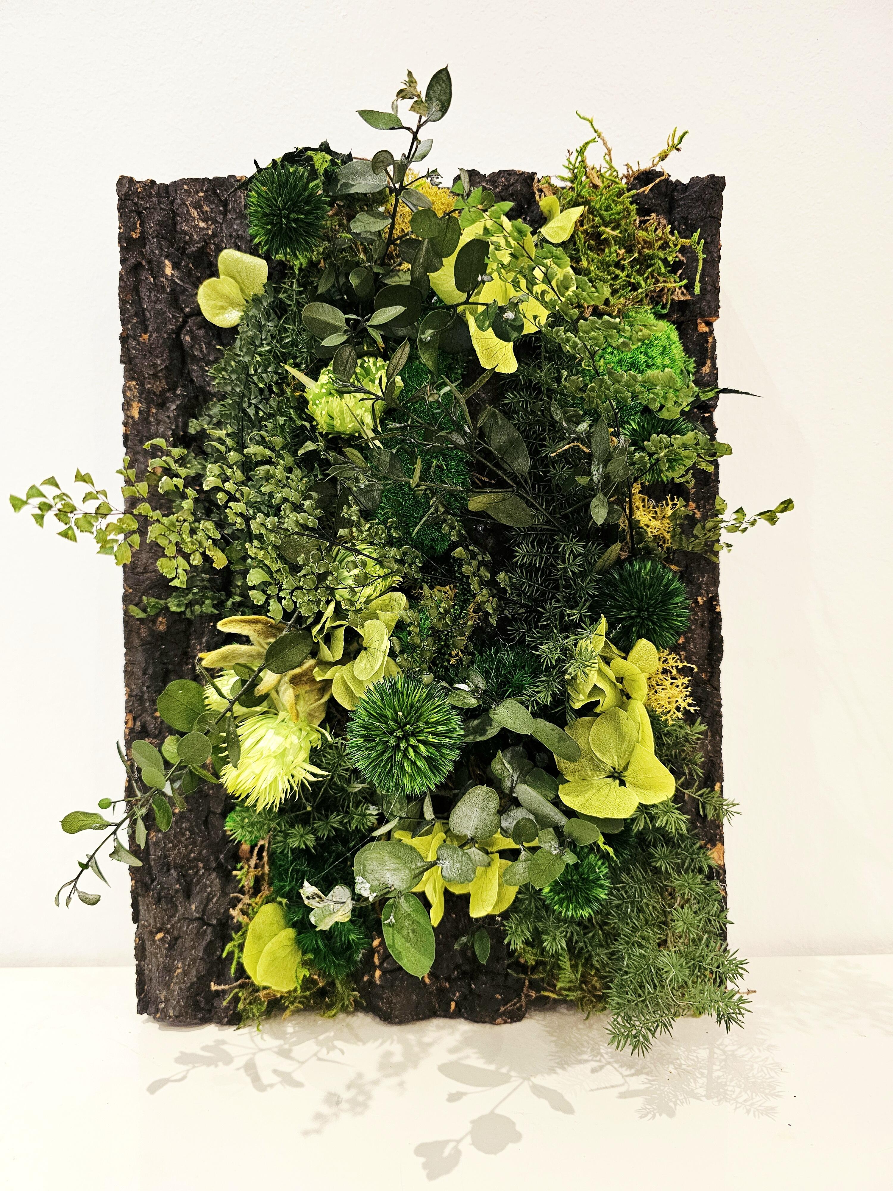 Moss / Natural / Cork - Image