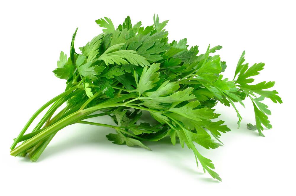 Herbs parsley flat