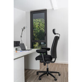 Office Chairs Ergotech  dynamic chair