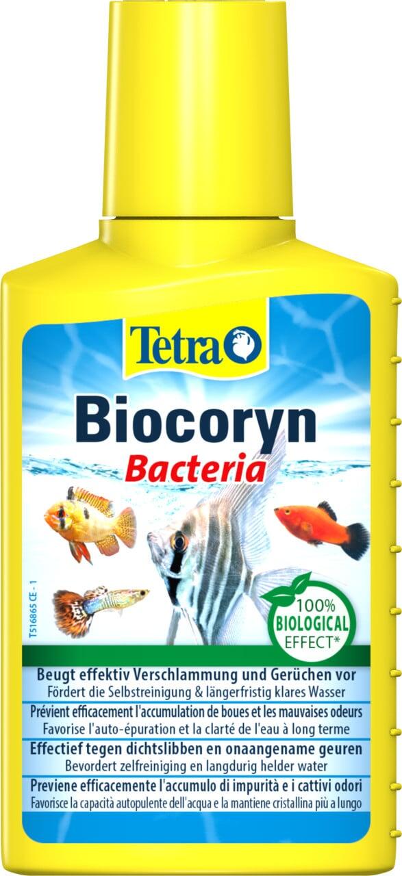 Tetra Aquariumpflege Biocoryn Bacteria 100 ml