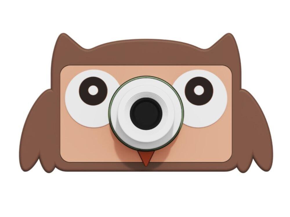 Digital Camera Owl