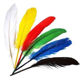 Feathers Meyco